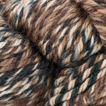 Brisban de Queensland Collection