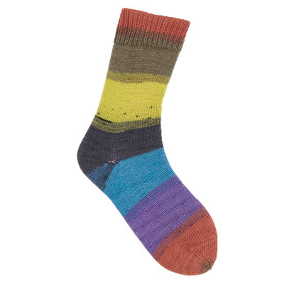 Cashmeri Luxury Socks Superba de Rico Design