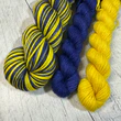 Kit de Chaussettes de Entre Soeurs & Laine