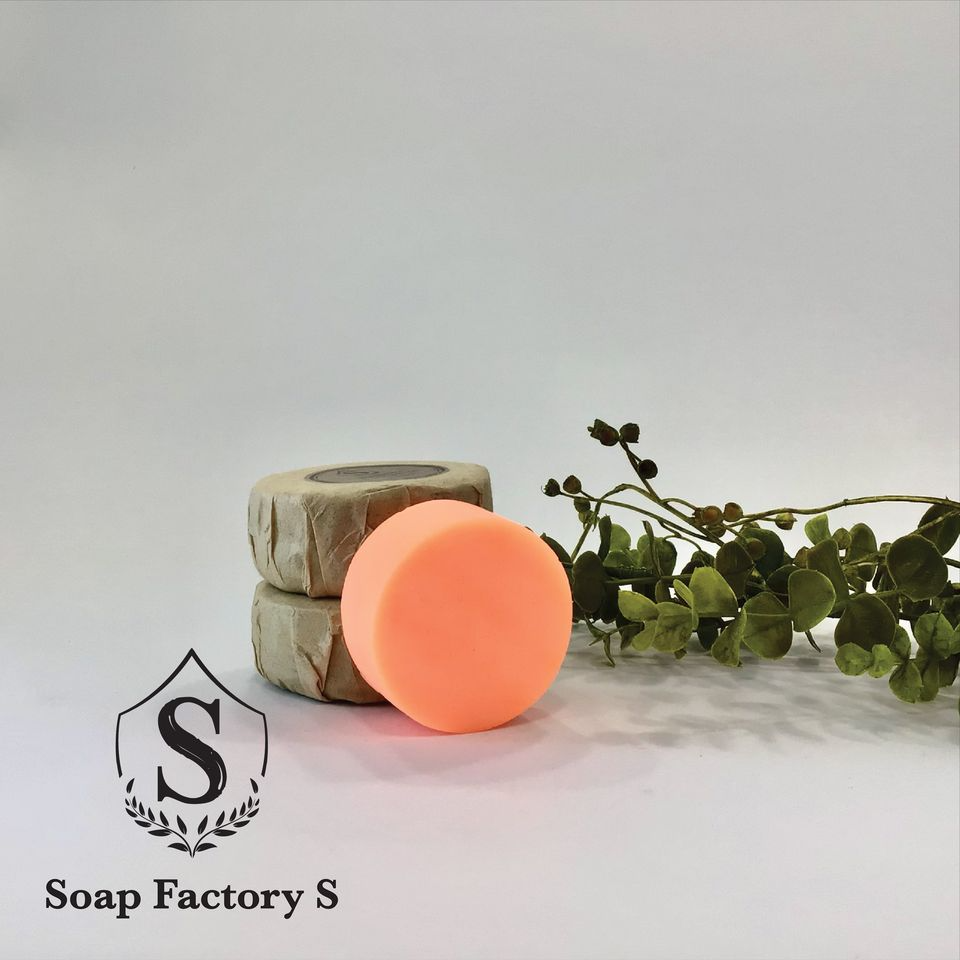 Shampoing et Revitalisant en Barres de Soap Factory S