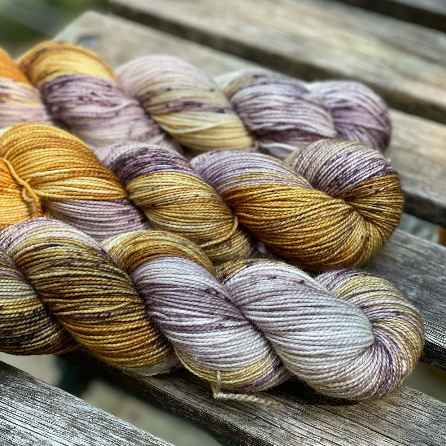 Fibre carpe diem laine