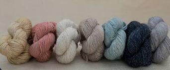 Fibre Carpe Diem