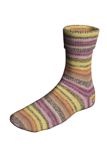 SUPER SOXX COLOR  4 PLY de LANG YARN