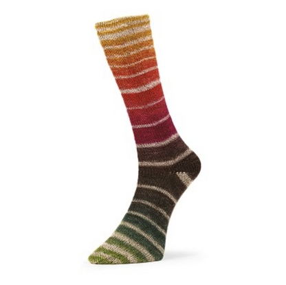 Evolution Aurora Sock de Estelle Yarns
