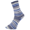FJORD SOCKS Multicolor - Pro Lana Golden Socks