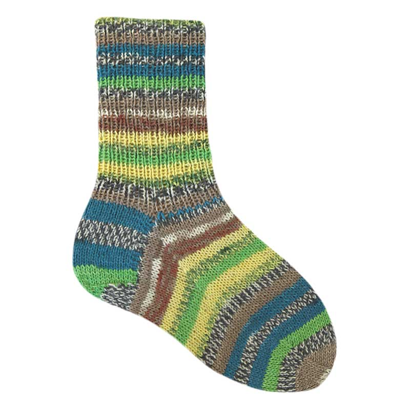 Flotte Socke ROMA 4 Ply de Rellana Garne